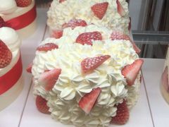 -格瑞思动物奶油生日蛋糕(园区永旺店)