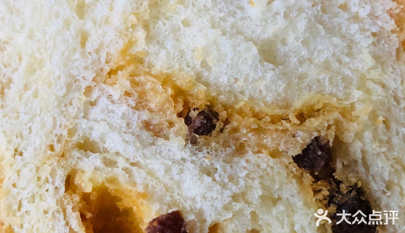 吐司要提子多多