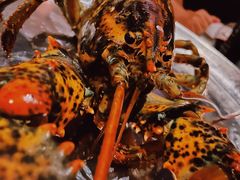 -Wolfgang’s Steakhouse 沃夫冈牛排馆(上海白玉兰广场店)