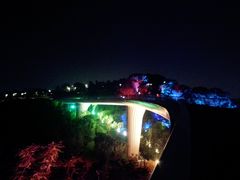 -飞凤山奥体公园