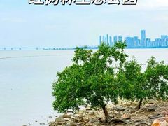 -华侨城湿地公园
