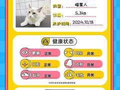 -BABIT巴比特宠物(MOMOPARK店)