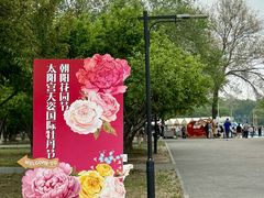 -太阳宫公园