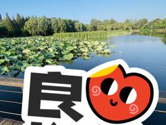 -前关湿地公园