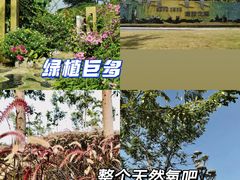 -白石龙音乐公园