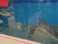-红菜坊·烤鸭·川鲁宴(石园店)
