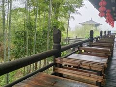 -大唐贡茶院