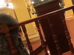 -果戈里书店