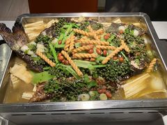 -京城·森鸽排档(双井店)