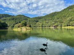 -广州白江湖森林公园