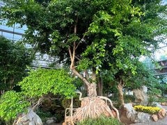 -南通洲际绿博园