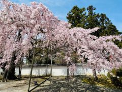 -醍醐寺