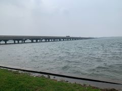 -丁香湖公园