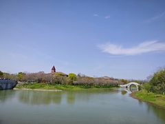-上海海湾国家森林公园