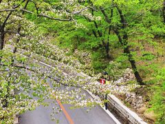 -丹东凤凰山景区