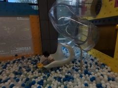 -北京园博大酒店