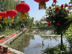 -同銮特种养殖场·龙虾垂钓