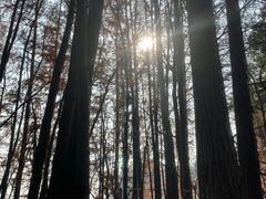 -东湖落雁景区