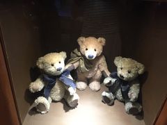 -济州岛泰迪熊博物馆