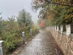 -云顶山风景区