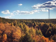 -塞罕坝国家级自然保护区