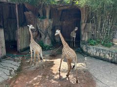 -长鹿旅游休博园