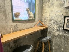 -CABO Coffee