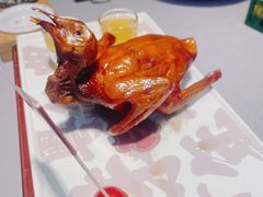 -大鸽饭(体育西路店)