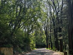 -萨尔浒风景区
