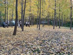 -河南财经政法大学(郑东校区)