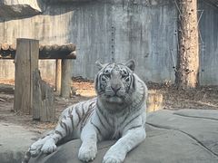 -常州淹城野生动物世界