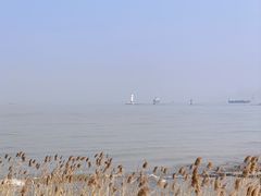 -上海吴淞炮台湾国家湿地公园