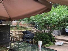 -桃源山庄·水蜜桃采摘·柴火鸡·烧烤团建(龙泉山店)