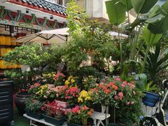 -山水茶艺馆·点心粤菜·30年老字号