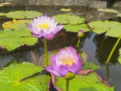 -洞庭土菜小炒馆(易发广场店)