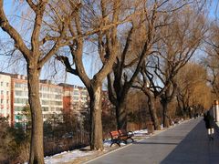 -长春市南湖公园