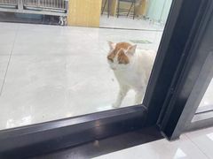 -中农大我爱我爱动物医院·核磁CT·猫病·24小时夜诊中心(石佛营店)