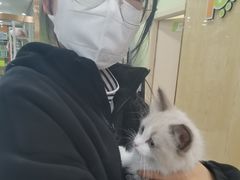 -瑞鹏宠物医院犬猫全科(真大分院)