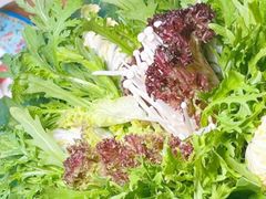 -南门四季铜锅涮肉(左家庄店)