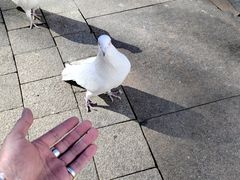 -中粮·祥云小镇