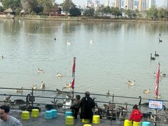 -艾溪湖湿地公园