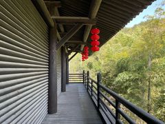 -大唐贡茶院