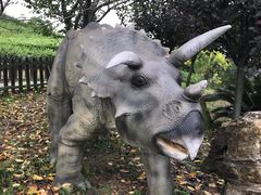 -自贡恐龙博物馆