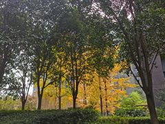 -唐城墙遗址公园