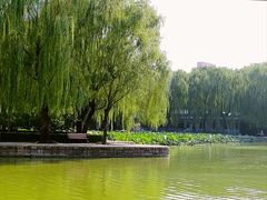 -团结湖公园