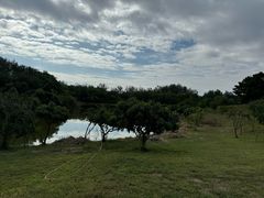 -塘沽森林公园