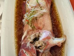 -白金汉爵大酒店-24小时餐厅