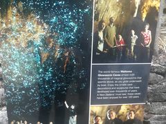 -怀托摩萤火虫洞