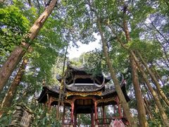 -峨眉山报国寺