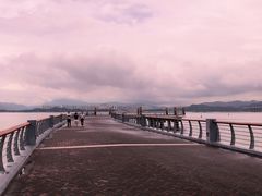 -深圳湾公园(南山区)